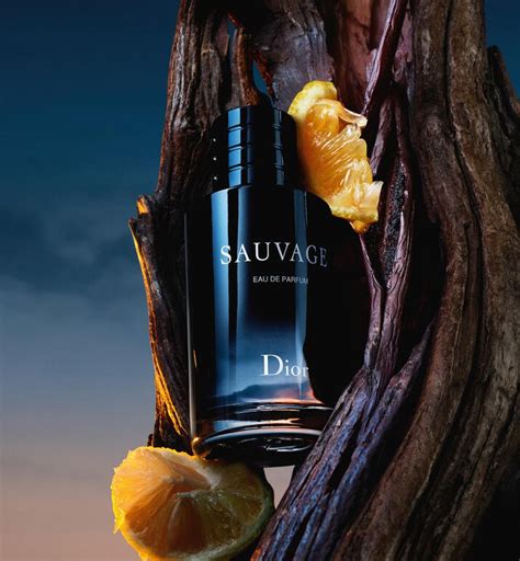 how to use dior sauvage|Dior Sauvage website.